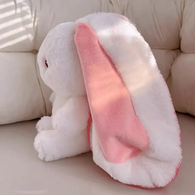 Cute Rabbit
