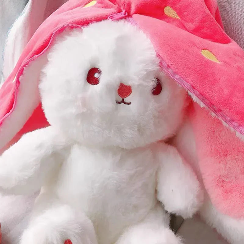Cute Rabbit