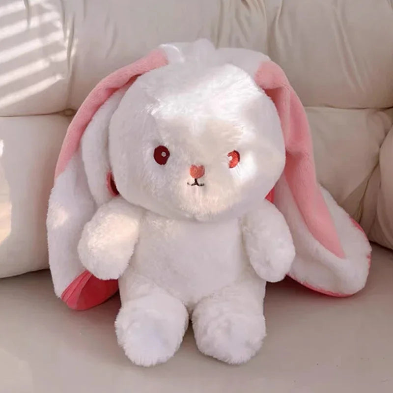 Cute Rabbit